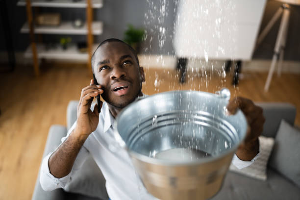  Kraemer, LA Water damage restoration Pros
