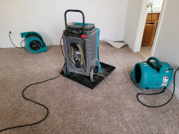 Best Water damage restoration services  in Kraemer, LA