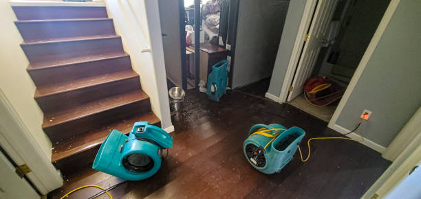 Best 24-hour water damage restoration  in Kraemer, LA