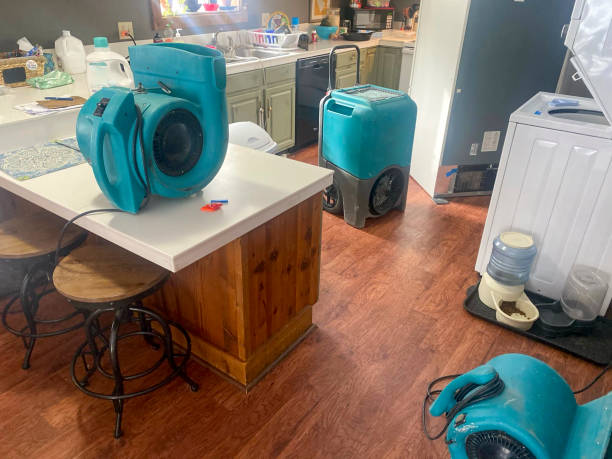 Best Fire Damage Restoration  in Kraemer, LA