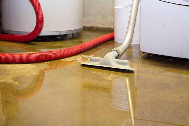 Best Water damage contractors near me  in Kraemer, LA