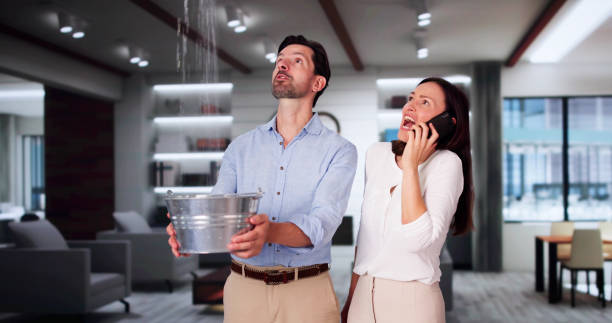 Best Professional water damage repair  in Kraemer, LA